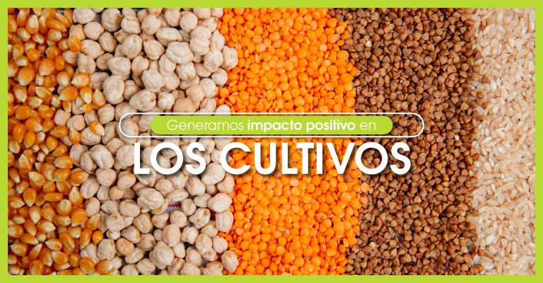 Biocultivos_Cultivos
