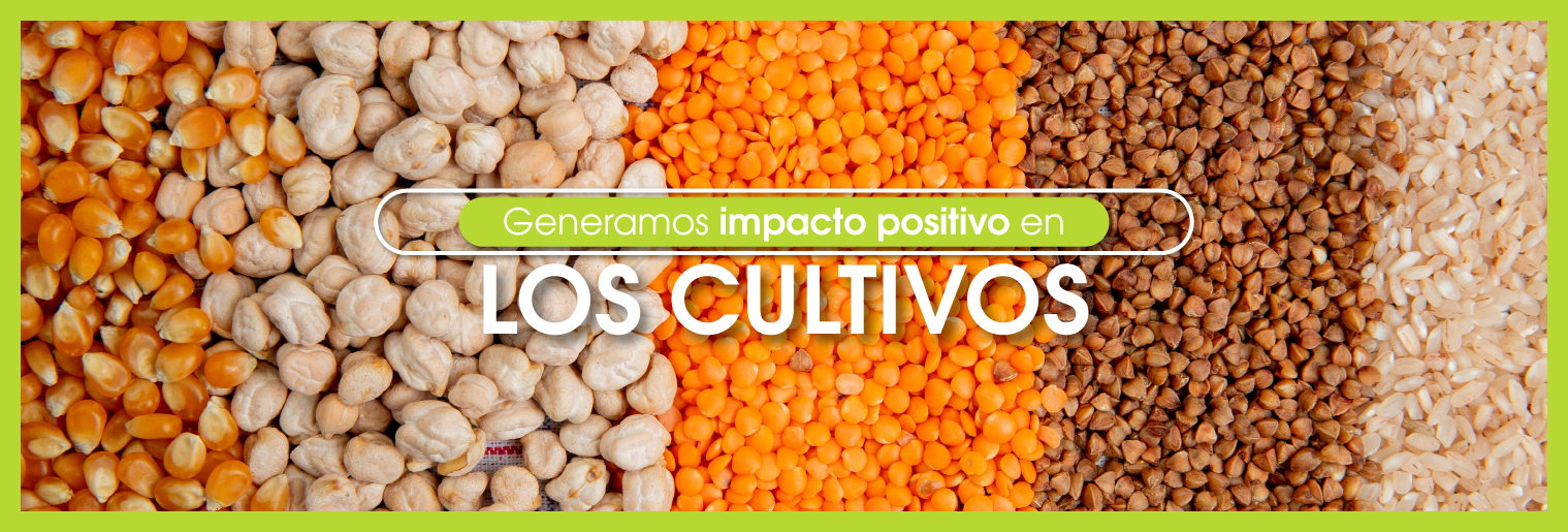 Biocultivos_Cultivos