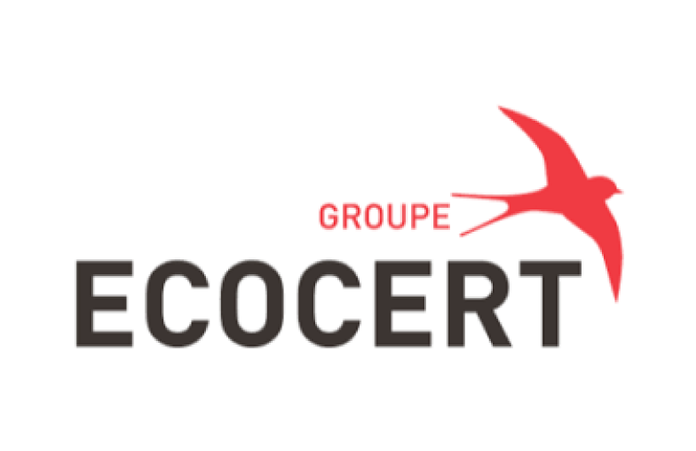 Logo Respaldo