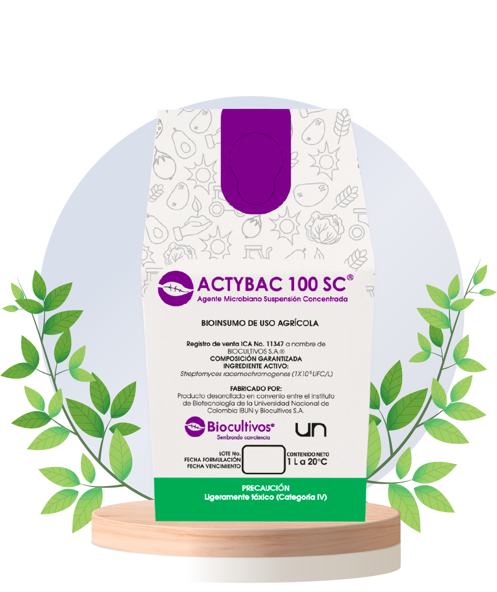 Actybac