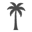 Palma